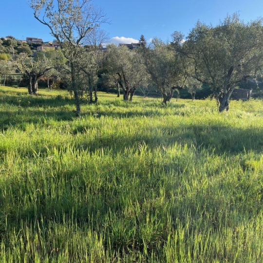 Terrain LES MAGES (30960) 990.00m2 81 400 € 