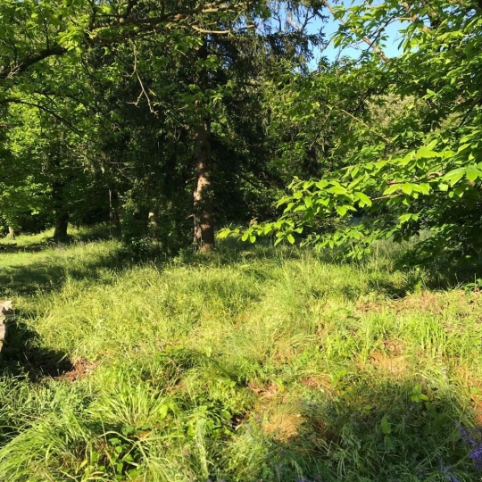 Terrain SAINT-FLORENT-SUR-AUZONNET (30960) m2 47 000 € 