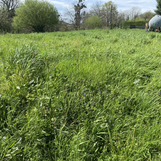 Terrain BELMONT-TRAMONET (73330) m2  - 75 000 € 