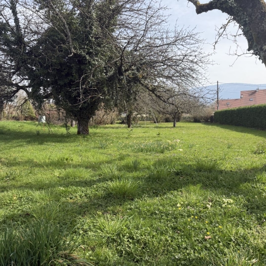 Terrain LE PONT-DE-BEAUVOISIN (73330) m2 66 000 € 