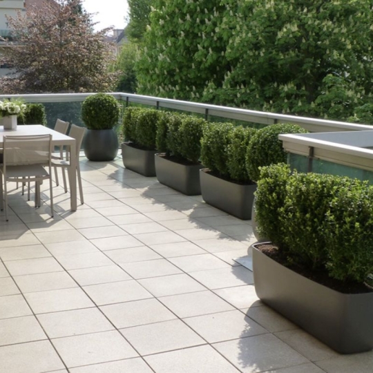 Appartement TASSIN-LA-DEMI-LUNE (69160) 100.00m2 539 000 € 