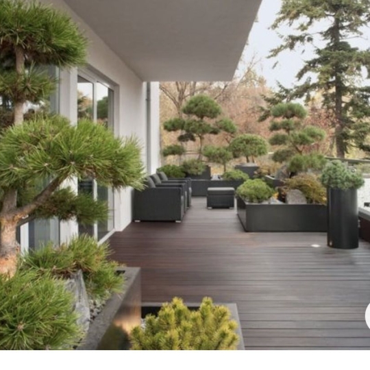 Appartement SAINTE-FOY-LES-LYON (69110) 86.00m2 534 000 € 