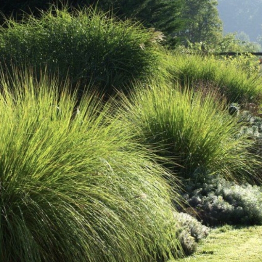 Maison / Villa SAIN-BEL (69210) 87.00m2 380 000 € 