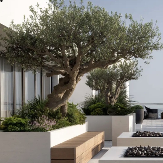 Réseau Immo-diffusion : 5 Pièces TASSIN-LA-DEMI-LUNE (69160) 130.00m2  815 000 € 