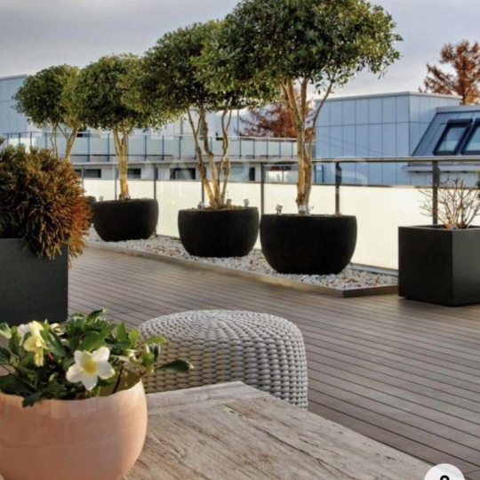 Appartement SAINT-JULIEN-EN-GENEVOIS (74160) 42.00m2 269 000 € 