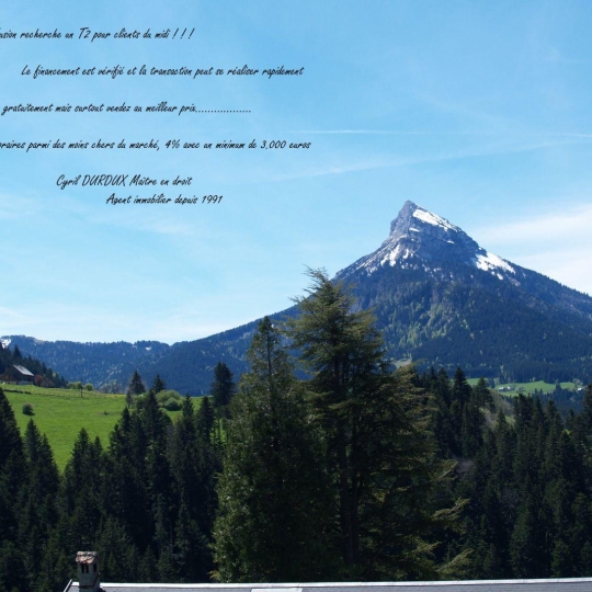 Appartement SAINT-PIERRE-DE-CHARTREUSE (38380) 17.00m2 45 000 € 