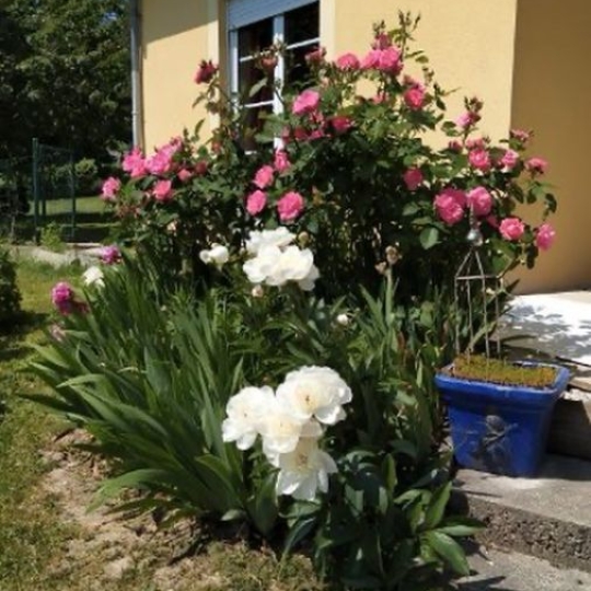 Maison / Villa HOMBOURG-HAUT (57470) 175.00m2 364 000 € 