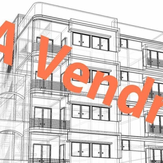 Immeuble SAINT-POL-SUR-TERNOISE (62130) 157.00m2 88 000 € 