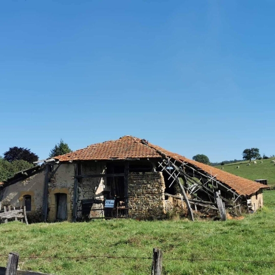 Maison SAINT-NIZIER-SOUS-CHARLIEU (42190) 250.00m2  - 89 000 € 