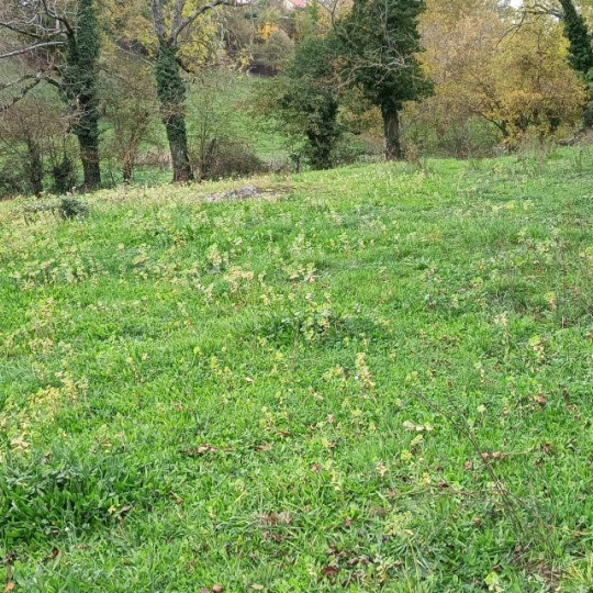 Terrain CREMEAUX (42260) m2 50 000 € 