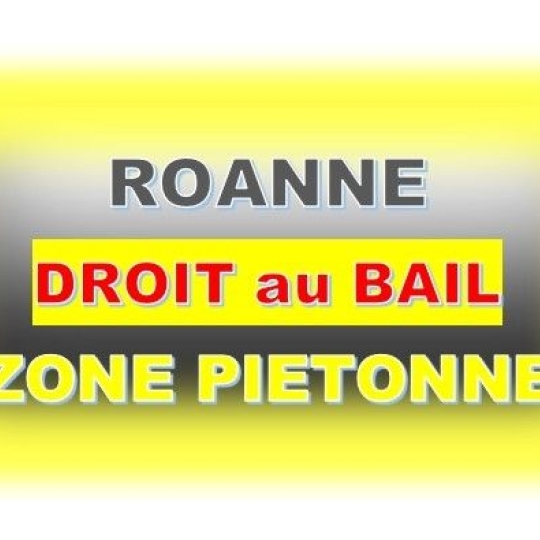 Local commercial ROANNE (42300) 55.00m2 - 89 000 € 