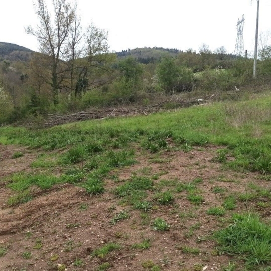 Terrain LE CHAMBON-FEUGEROLLES (42500) m2 89 000 € 