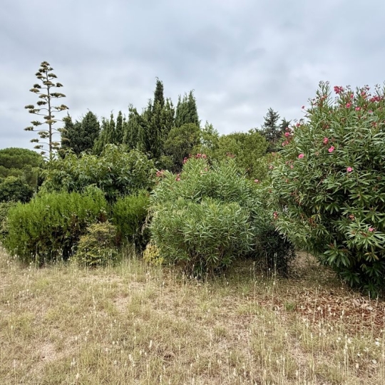 Terrain PEZENAS (34120) 456.00m2  - 126 900 € 