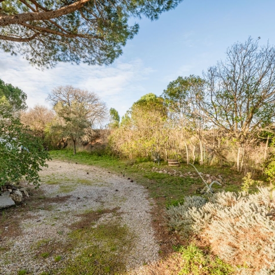 Terrain PAULHAN (34230) 433.00m2 126 500 € 