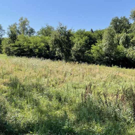 Terrain THIERS (63300) 1000.00m2 110 000 € 