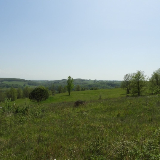 Réseau Immo-diffusion : Terrain REALMONT (81120) m2  55 000 € 