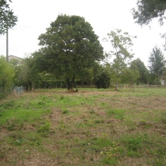 Terrain BEGUEY (33410) m2 158 000 € 