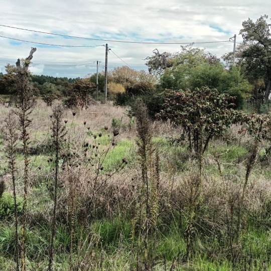 Réseau Immo-diffusion : Terrain VILLANDRAUT (33730) m2  60 000 € 