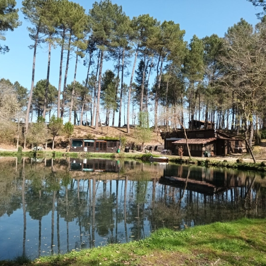 Domaines / Propriétés VILLANDRAUT (33730) 81.00m2 416 000 € 