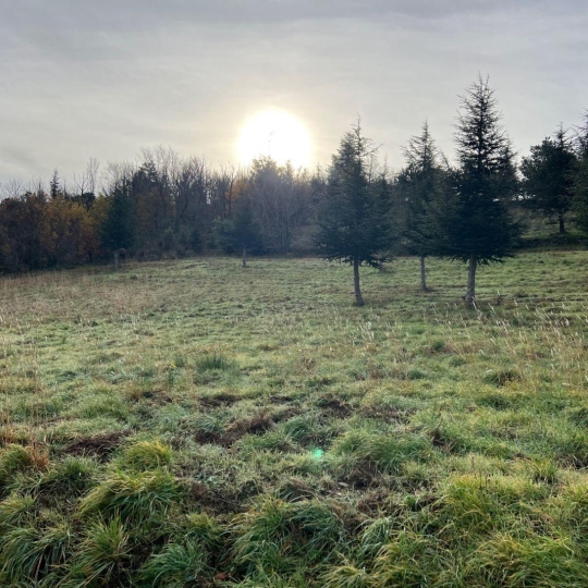 Terrain OLARGUES (34390) m2  - 18 000 € 