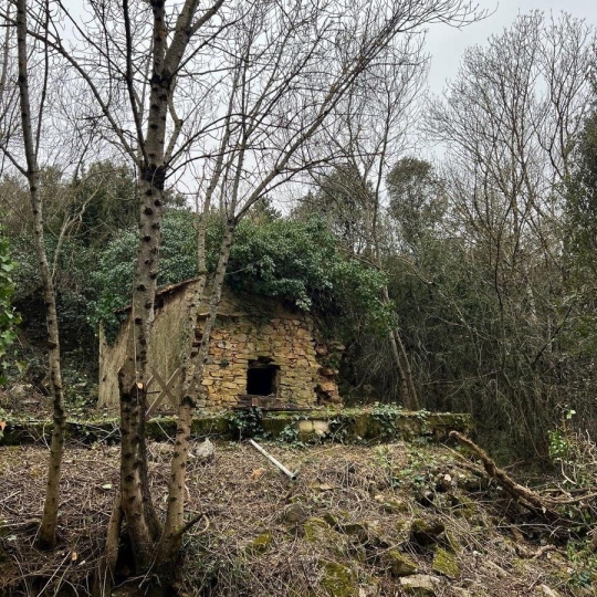 Terrain SAINT-VINCENT-D'OLARGUES (34390) 9.00m2 16 000 € 