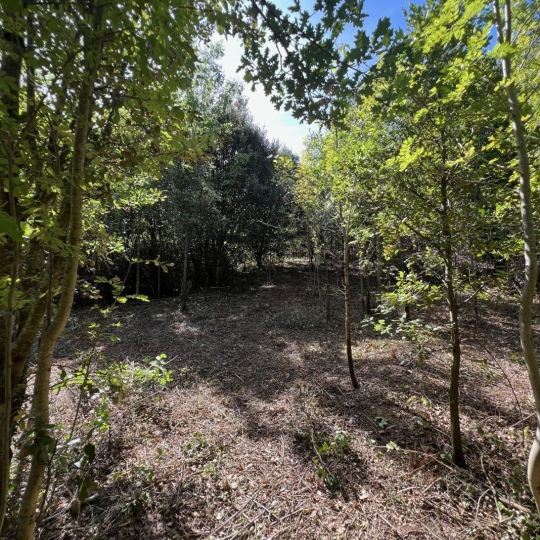 Terrain PREMIAN (34390) m2 11 000 € 