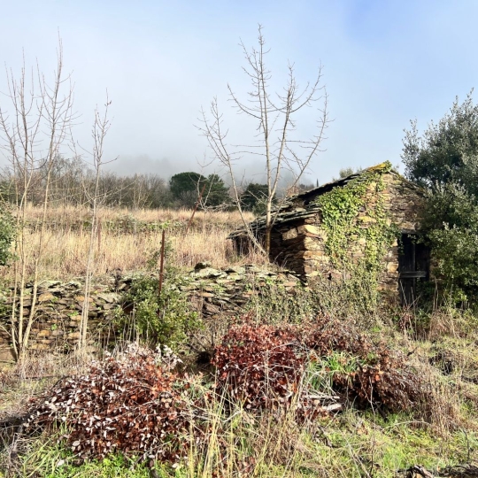 Terrain MONS (34390) m2 12 000 € 