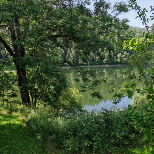 Maison AX-LES-THERMES (09110) 53.00m2  - 50 500 € 