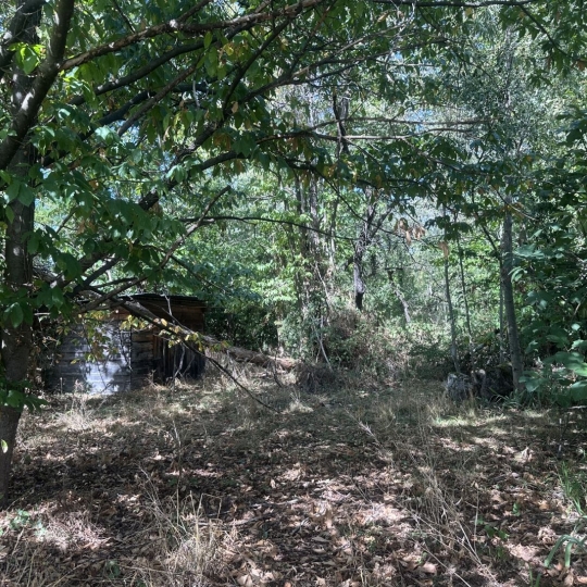 Terrain MONTGAILLARD (09330) m2 116 000 € 