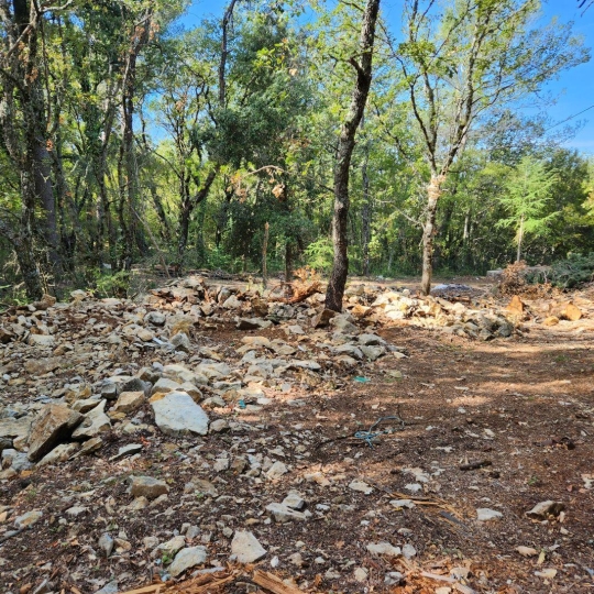 Terrain PLAN-D'AUPS-SAINTE-BAUME (83640) m2 180 000 € 