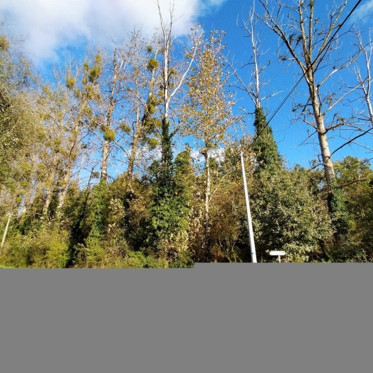 Terrain JAVRON-LES-CHAPELLES (53250) m2 33 000 € 