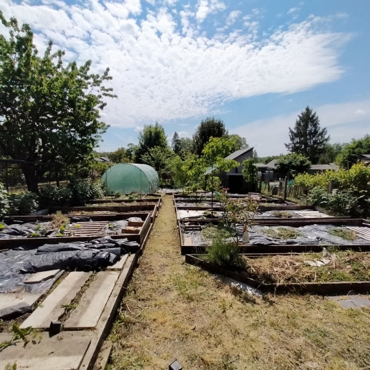 Terrain ANDOUILLE (53240) m2 4 500 € 