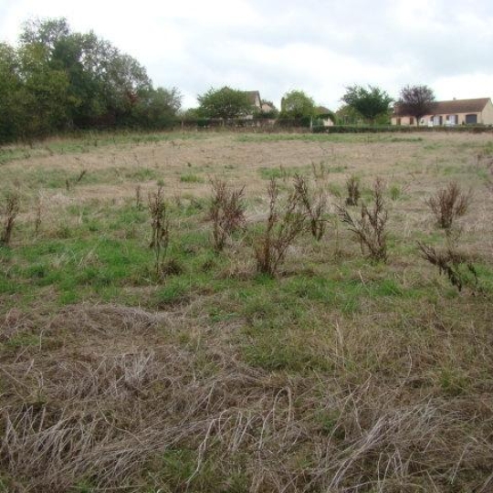 Terrain SAINT-LEON (03220) m2 34 900 € 