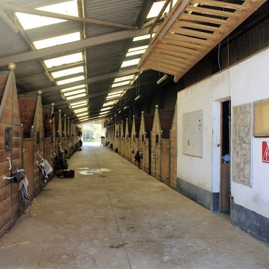 Domaines / Propriétés BLAGNAC (31700) 60.00m2 1 100 000 € 