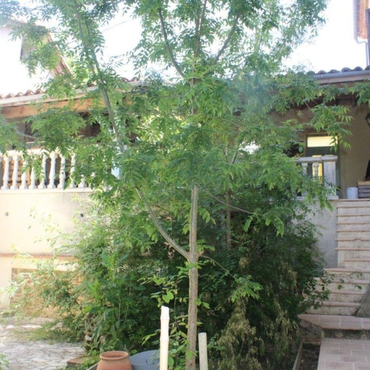 Maison de village MAUVEZIN (32120) 122.00m2  - 212 000 € 