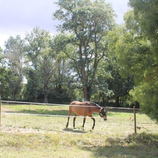 Domaines / Propriétés FLEURANCE (32500) 80.00m2 430 500 € 