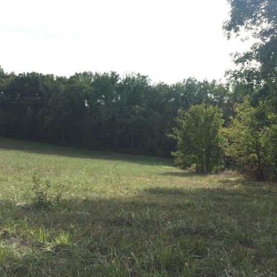 Terrain ORDAN-LARROQUE (32350) m2 53 000 € 