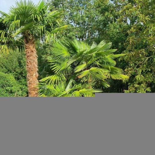 Maison VENDOME (41100) 275.00m2  - 463 900 € 