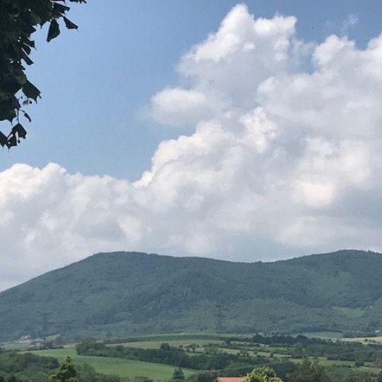 Terrain ECHALAS (69700) m2 129 000 € 