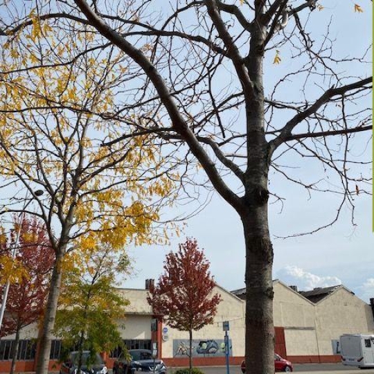 Local / Bureau CHAPONNAY (69970) 1200.00m2 550 000 € 