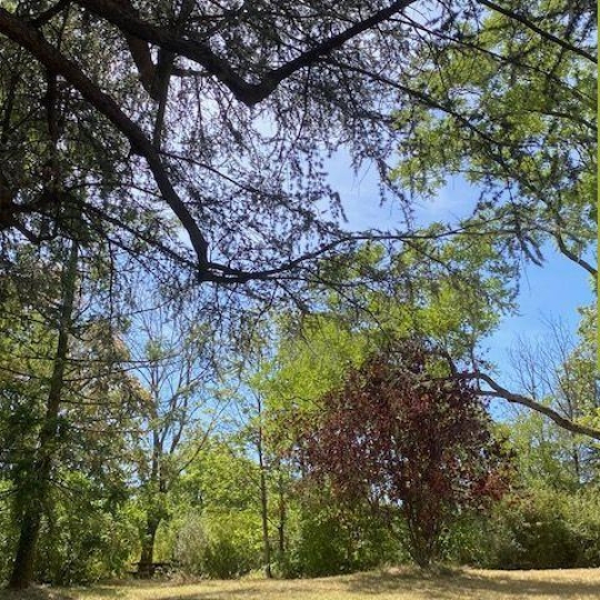 Appartement MILLERY (69390) 78.00m2 315 000 € 