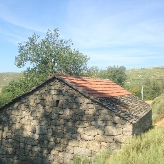 Maison LES VANS (07140) 55.00m2  - 35 000 € 