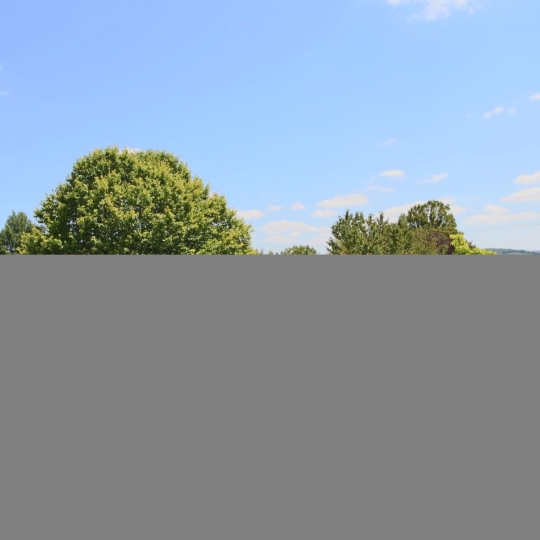 Terrain PUY-L'EVEQUE (46700) 3400.00m2 41 200 € 