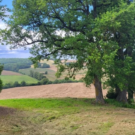 Terrain BEAUMONT-DE-LOMAGNE (82500) 220000.00m2  - 192 600 € 