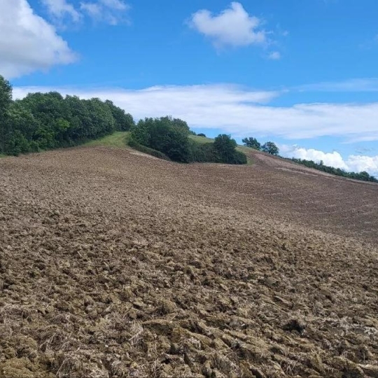 Terrain BEAUMONT-DE-LOMAGNE (82500) 200000.00m2  - 176 000 € 