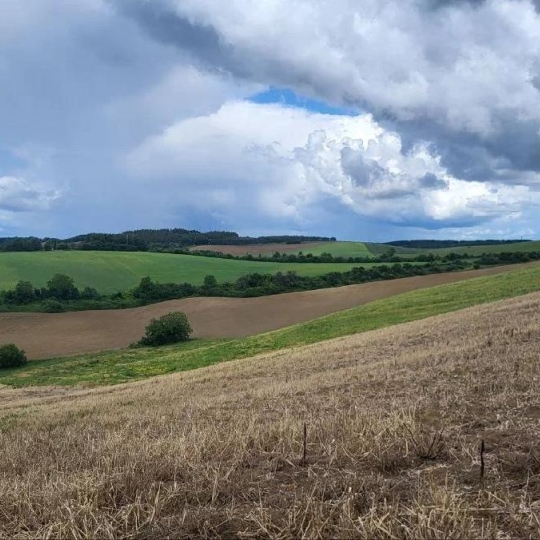 Terrain BEAUMONT-DE-LOMAGNE (82500) 200000.00m2 176 000 € 