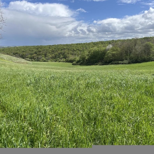 Terrain SARCOS (32420) 60000.00m2 40 000 € 