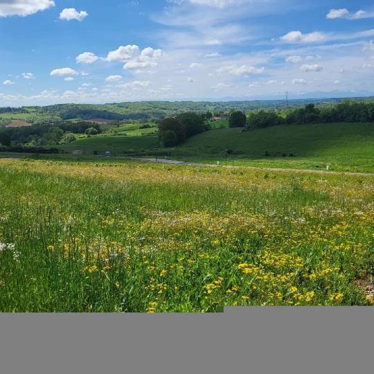 Terrain LASSERAN (32550) 1577.00m2 70 000 € 