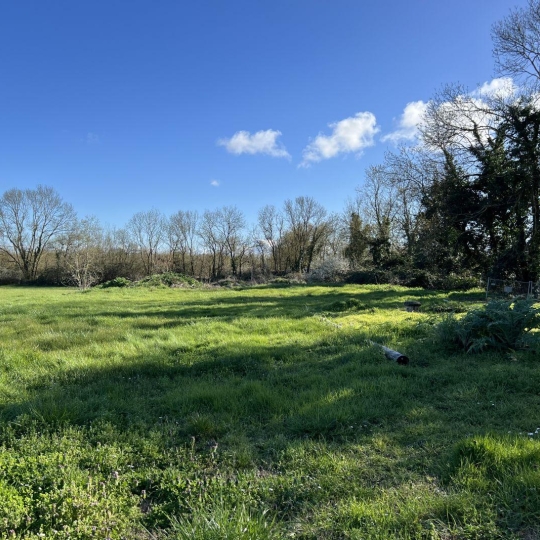 Terrain CIRE-D'AUNIS (17290) m2 103 000 € 