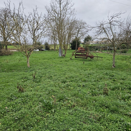 Terrain CIRE-D'AUNIS (17290) m2 124 000 € 